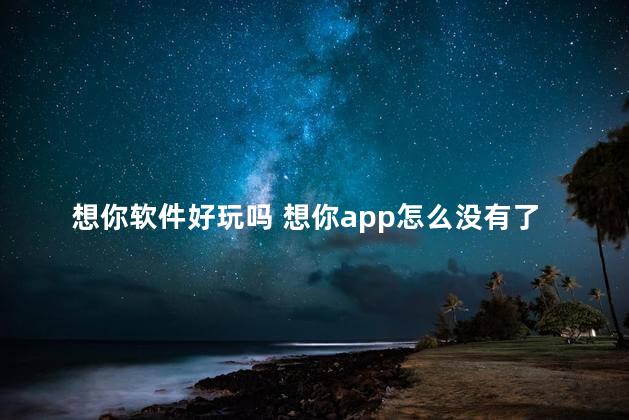 想你软件好玩吗 想你app怎么没有了